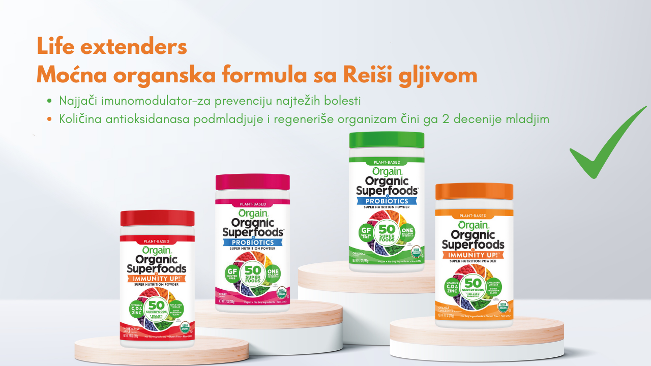 reishi gljiva
