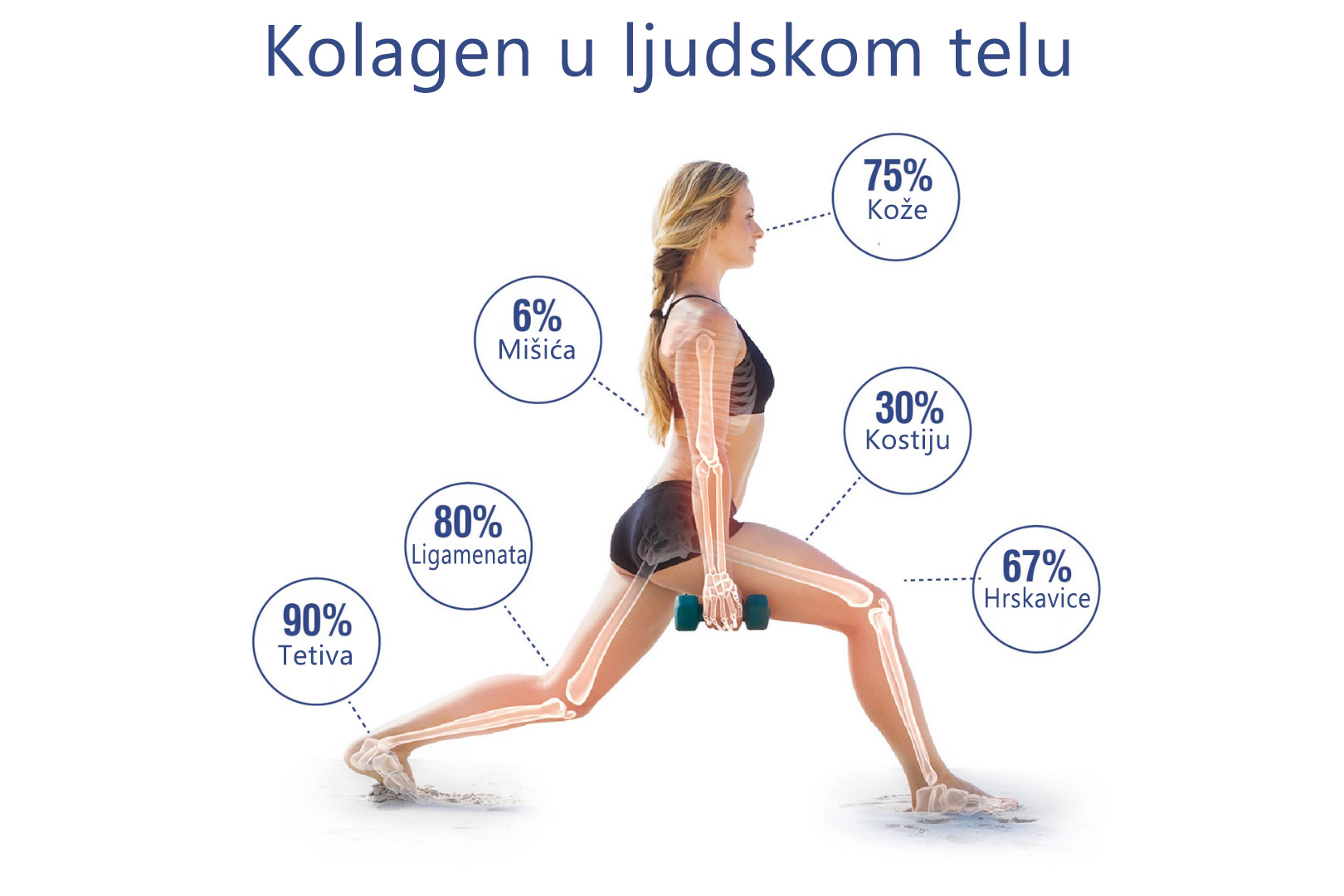 kolagen u ljudskom telu